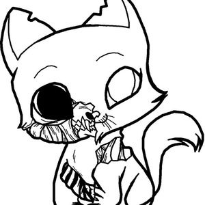 Meet your Posher, Cheyenne